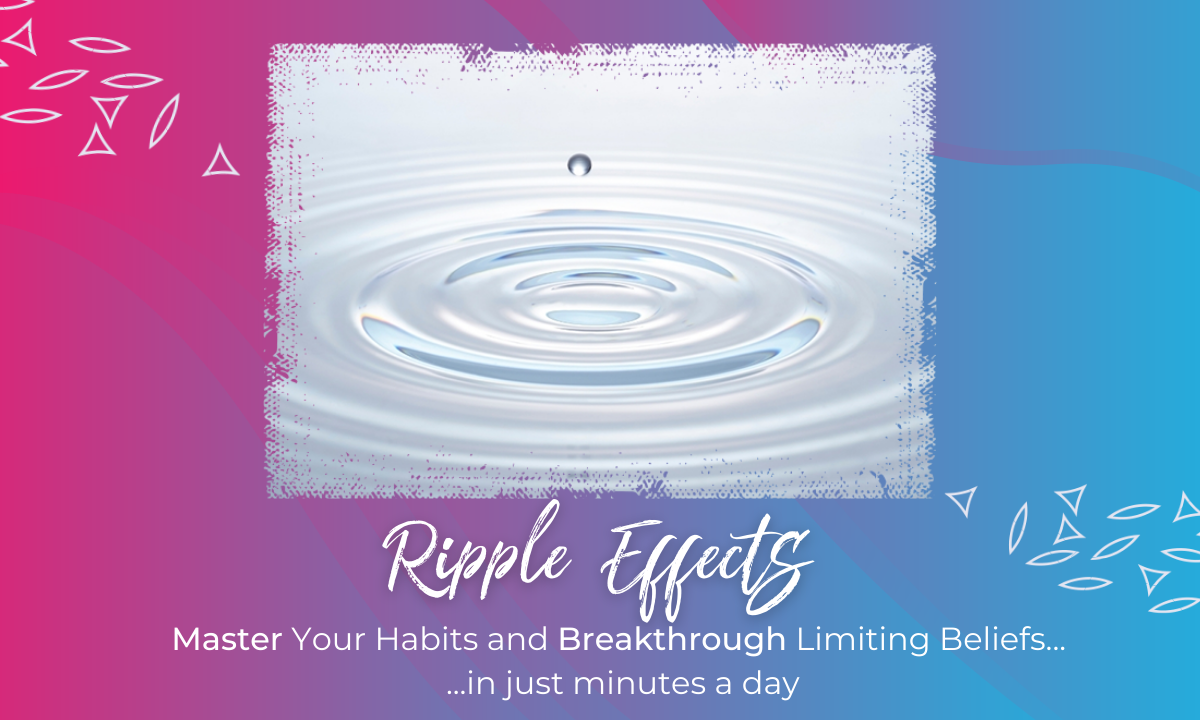 Introduction Success Basics